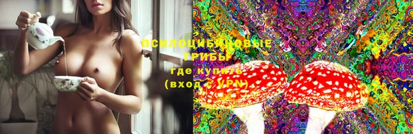 эйфоретик Вязьма