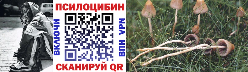 Галлюциногенные грибы ЛСД  Купить  Грязи 